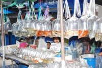 Fischmarkt Bangkok