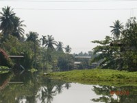 Biotope Thailand