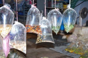 Fischmarkt in Bangkok 